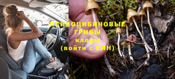 гидропоника Абдулино