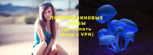круглые Абаза